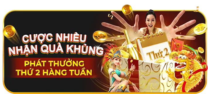 Chương trình VIP và hoàn trả