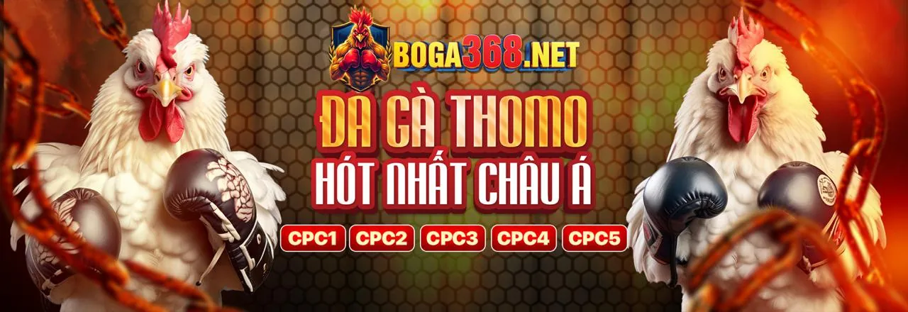 Nền tảng an toàn và uy tín của Chẵn Lẻ Momo