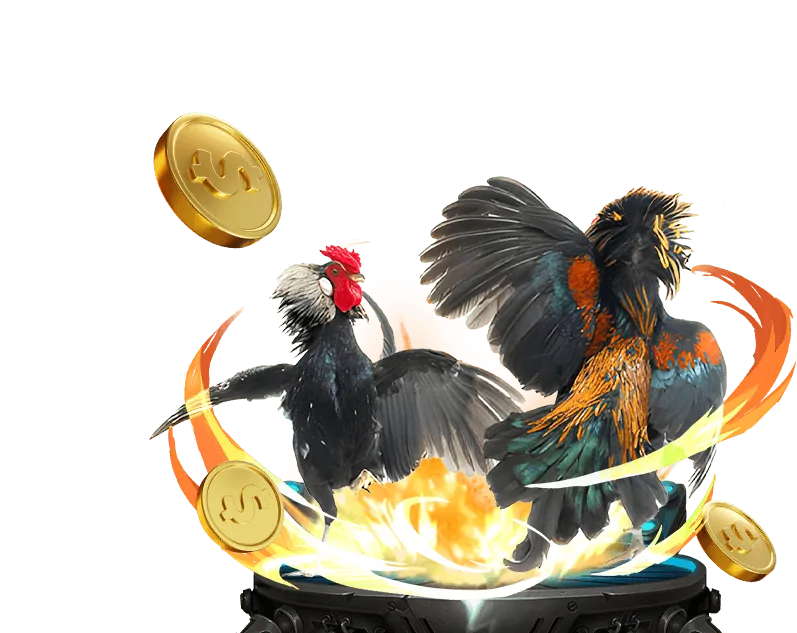 Cá cược bóng đá với chẵn lẻ momo